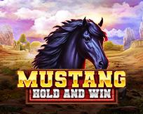 Mustang Hold and Win